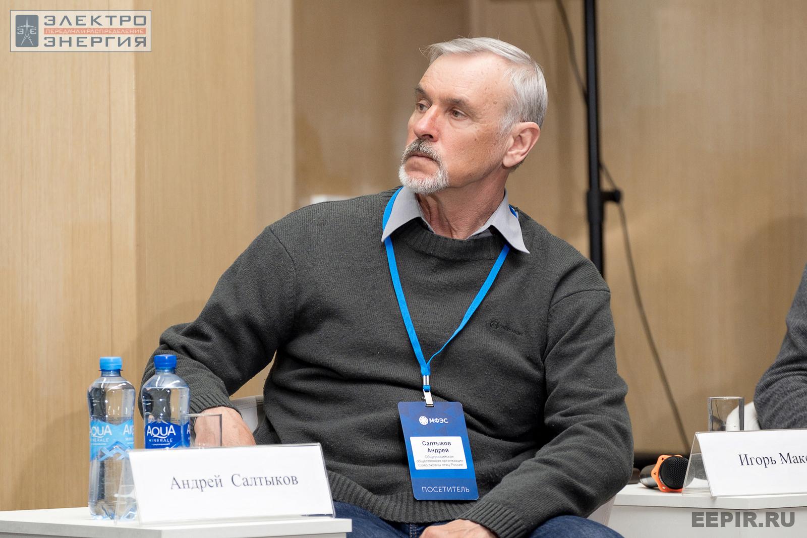 Вице-президент Общероссийской общественной организация «Союз охраны птиц России» Андрей Салтыков на научно-практической конференции «Линии электропередачи — кровеносные сосуды энергетики»