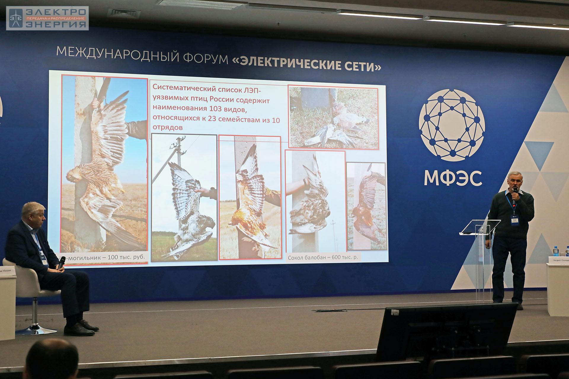 Вице-президент Общероссийской общественной организация «Союз охраны птиц России» Андрей Салтыков выступает с докладом «Орнитологическая безопасность электросетевых объектов: актуальные вопросы ее обеспечения»