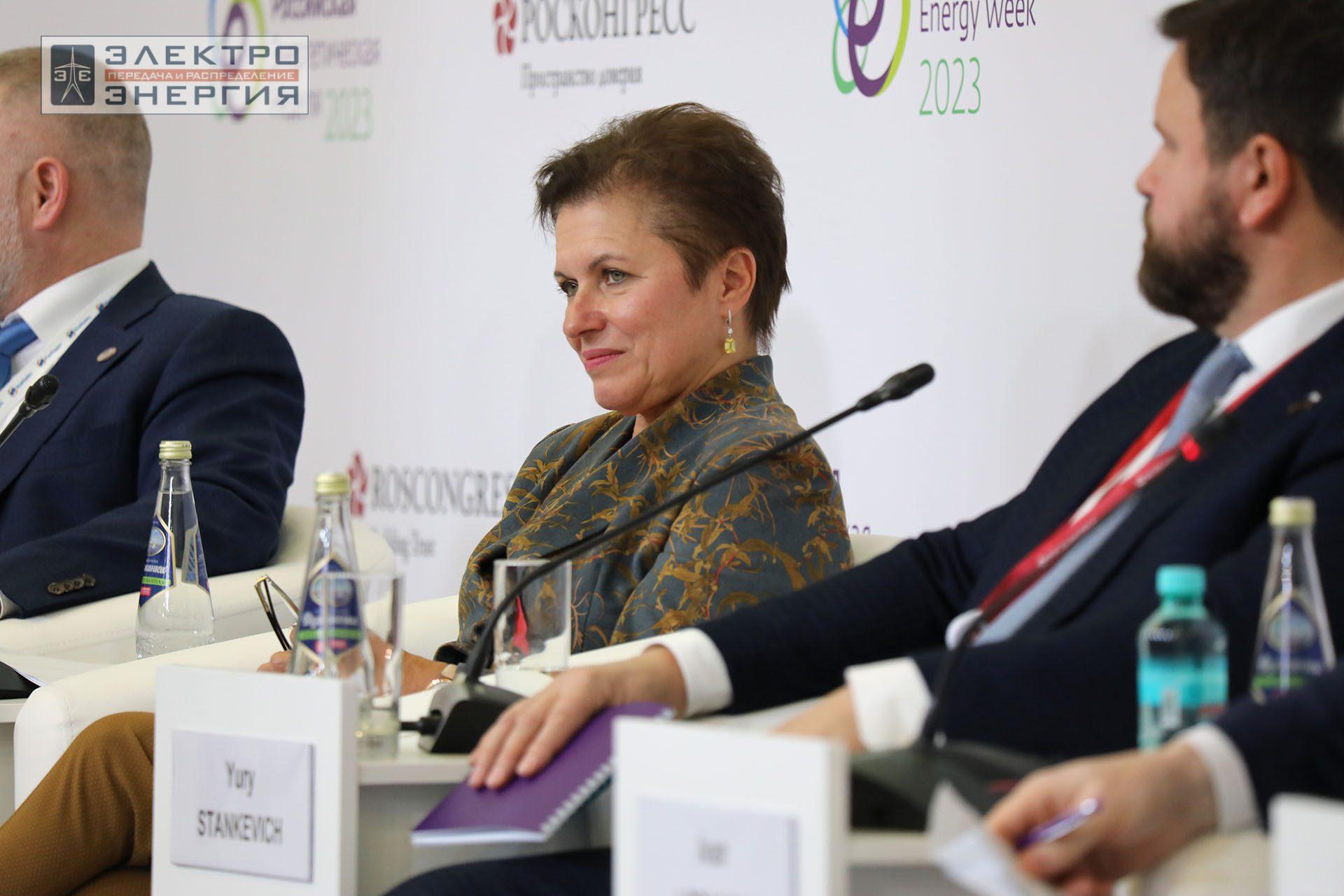 На международном форуме «Российская энергетическая неделя» (РЭН-2023). Рабочие моменты