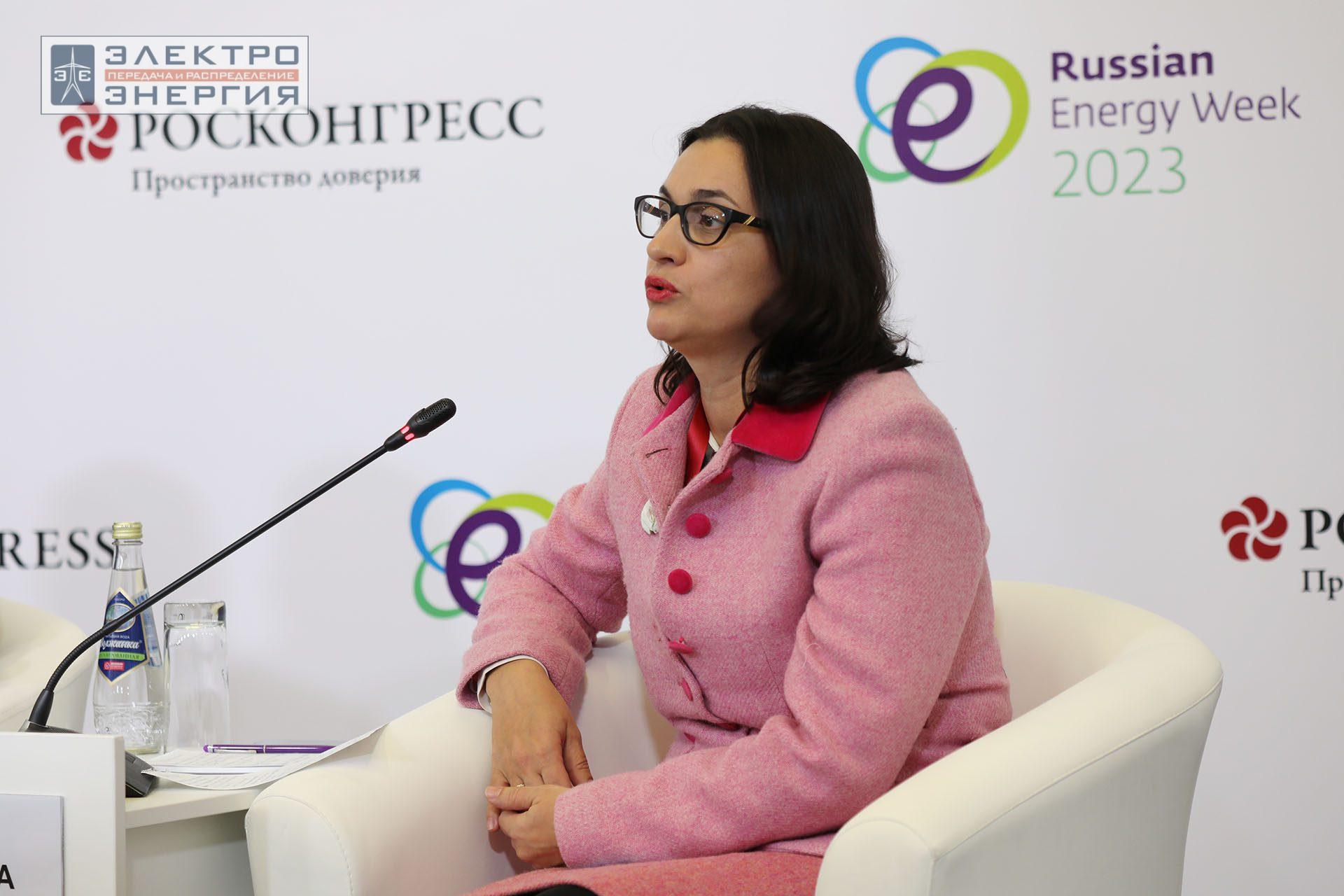На международном форуме «Российская энергетическая неделя» (РЭН-2023). Рабочие моменты