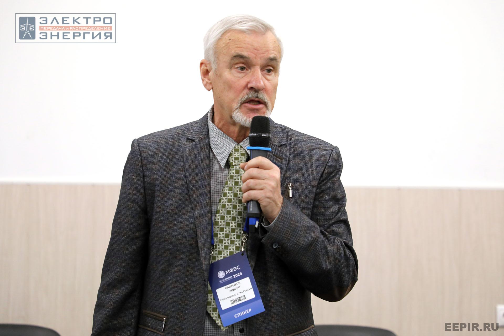 На конференции Ассоциации «Электросетьизоляция» на МФЭС-2024 «Линии электропередачи — кровеносные сосуды энергетики»