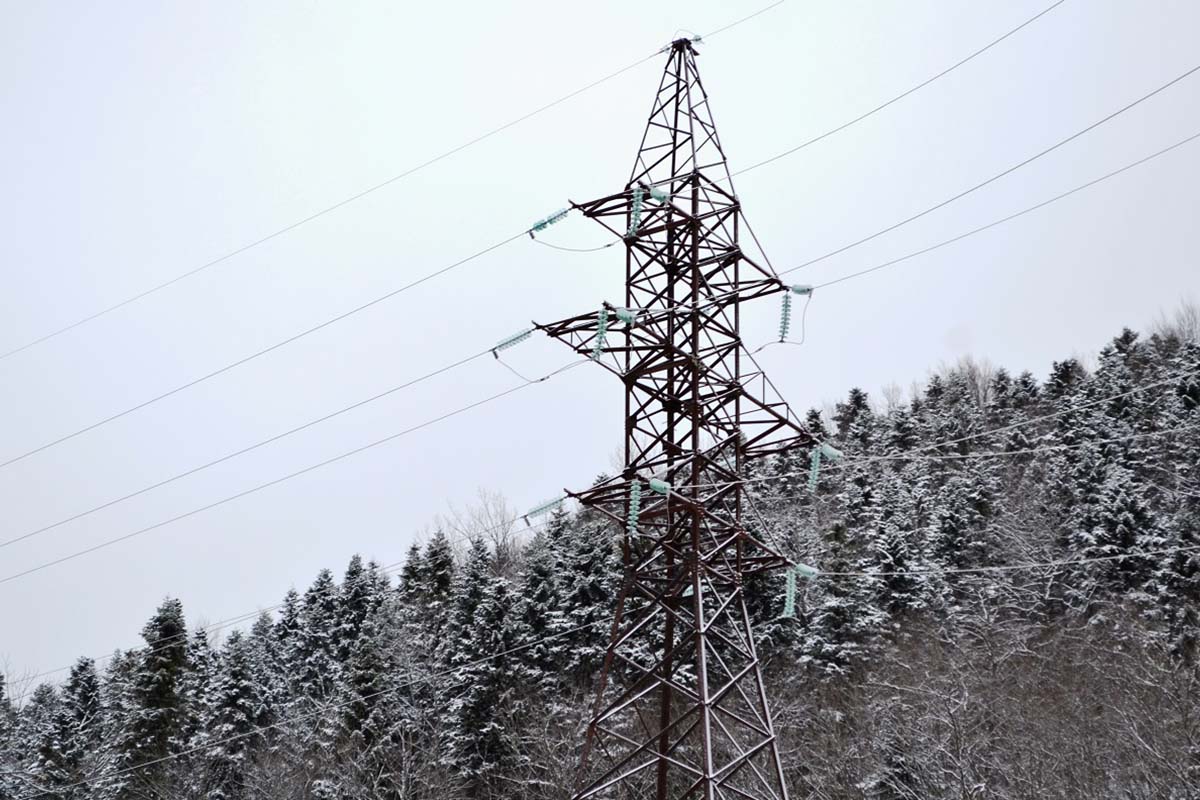 «Кубаньэнерго» отремонтирует 340 км ЛЭП в восьми районах Кубани и Адыгеи