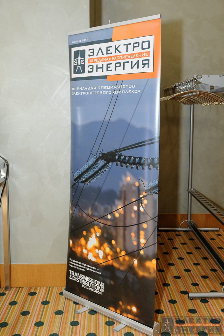 III Всероссийская конференция «Технико-экономические аспекты развития электрических сетей 20 кВ» фото