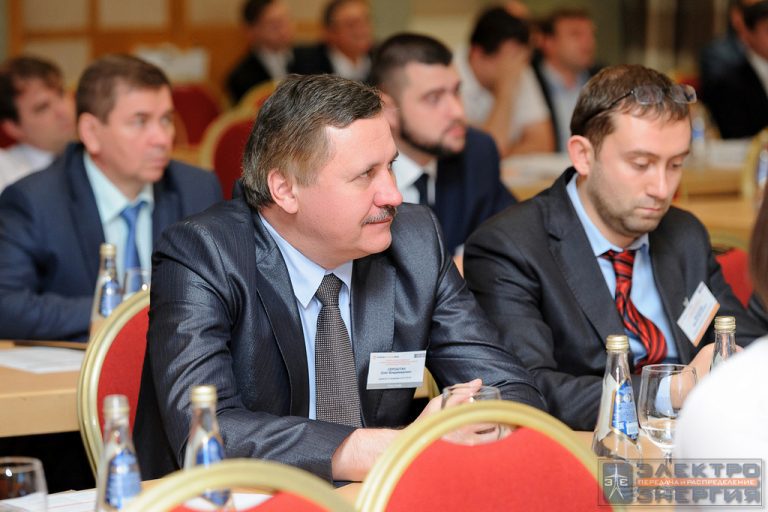 III Всероссийская конференция «Технико-экономические аспекты развития электрических сетей 20 кВ» фото