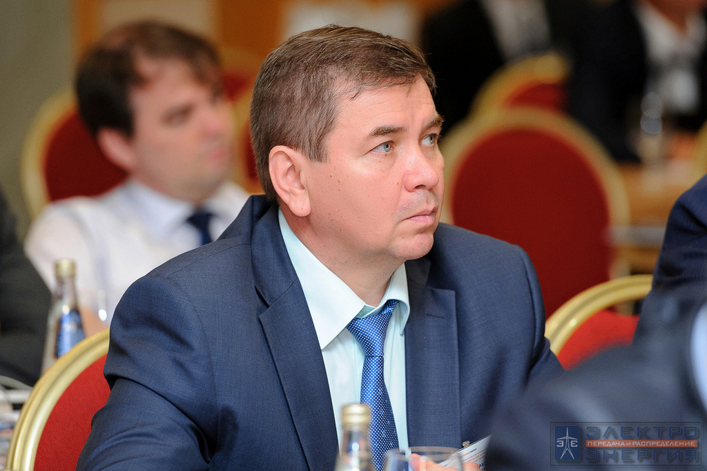 На III Всероссийской конференции «Технико-экономические аспекты развития электрических сетей 20 кВ»