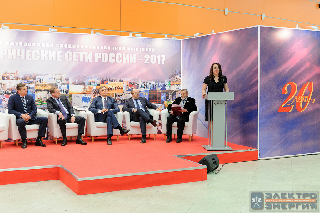 Электрические сети России-2017 фото