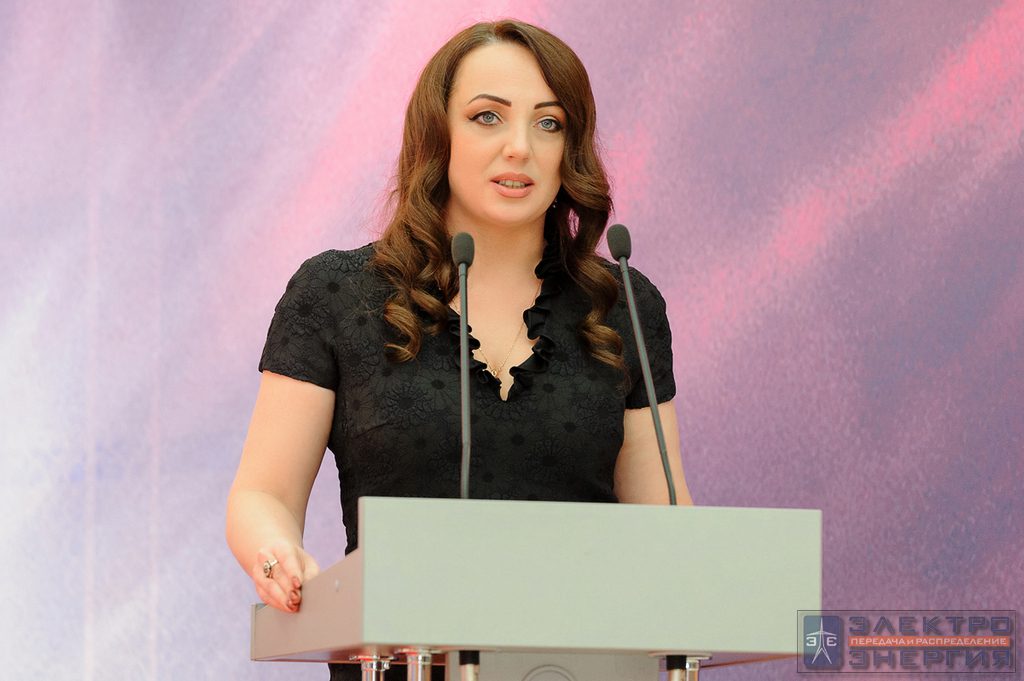 Электрические сети России-2017 фото