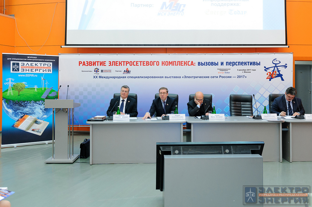 Электрические сети России-2017 фото