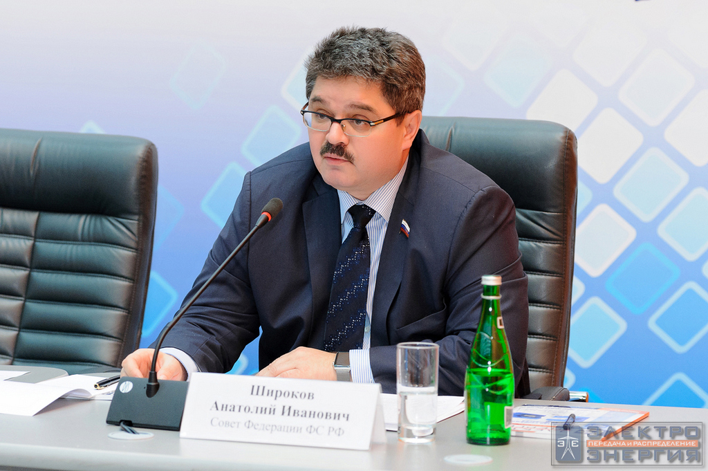 Электрические сети России-2017 фото