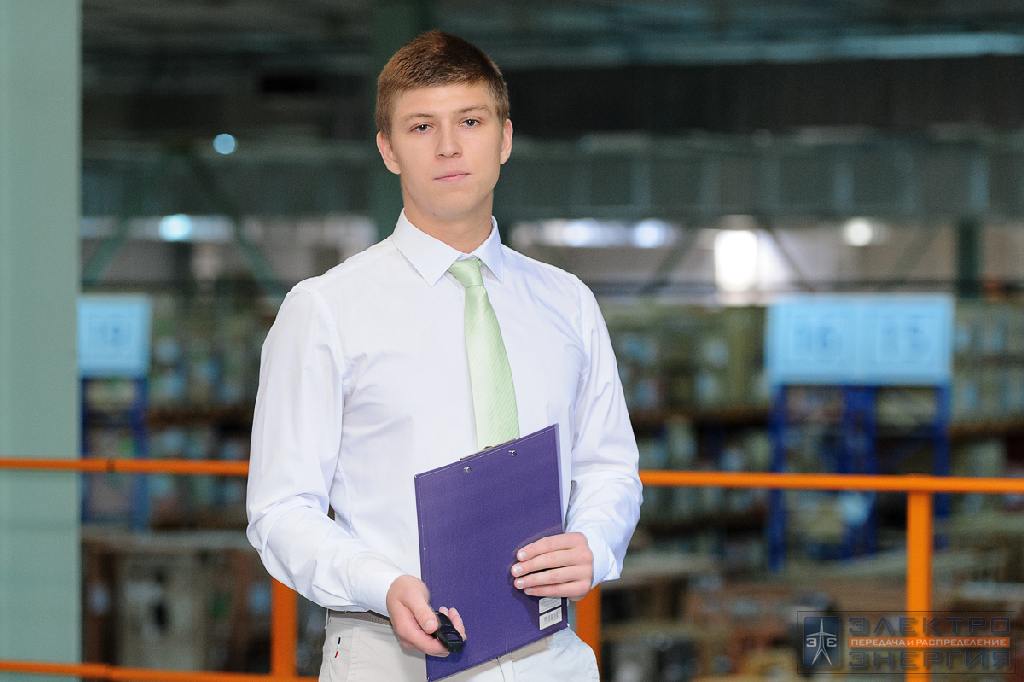 Чесноков Дмитрий, студент ИЭЭ «НИУ «МЭИ» (гр.Э-09-15)
