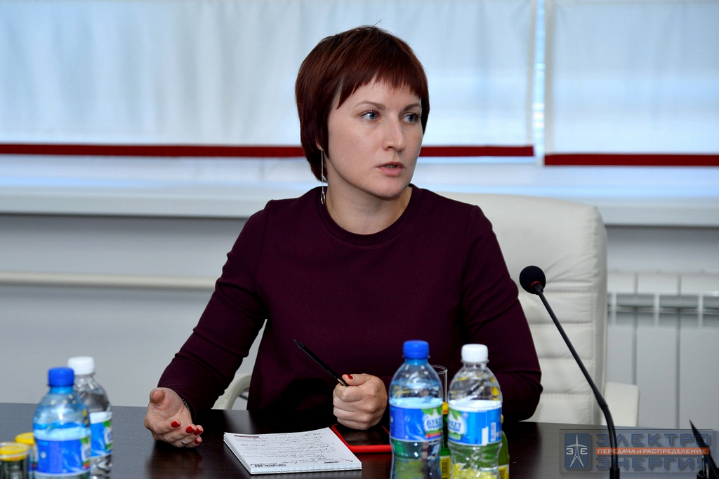 Визит делегации Минэнерго России и представителей энергетических компаний во главе с Заместителем Министра энергетики РФ Андреем Черезовым на производство ООО «РЕЛЕМАТИКА»
